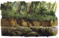 BUY NEW spirited away - 92523 Premium Anime Print Poster